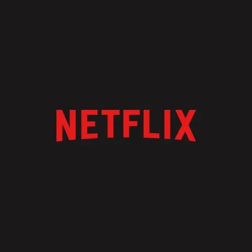 Netflix Estándar Cuenta 12 Meses Global