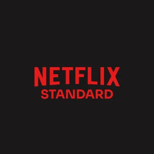 Netflix Standard Account 12 Months Global