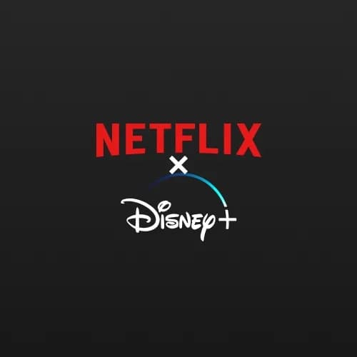 Netflix + Disney Plus Bundle 12 Meses Global