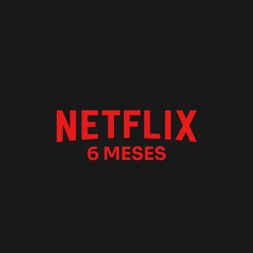 Netflix Standard Account 6 Months Global