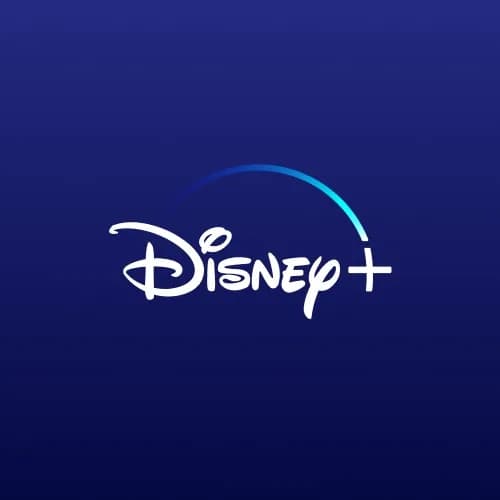 Disney Plus Standard Account 12 Months Global