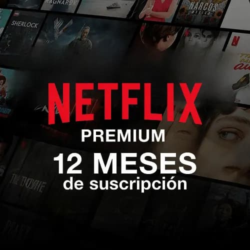 Netflix Premium Cuenta 6 Meses Global