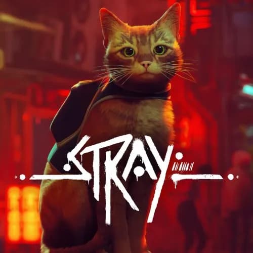 Stray Steam Standard Edition Global Cuenta