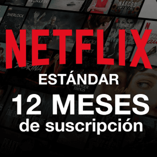 Netflix Standard 12 Months – Instant Digital Access
